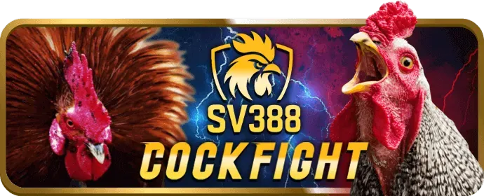 Minh họa quy trình 4 bước đặt cược thể thao tại YO88: đăng ký, nạp tiền, đặt cược, rút tiền